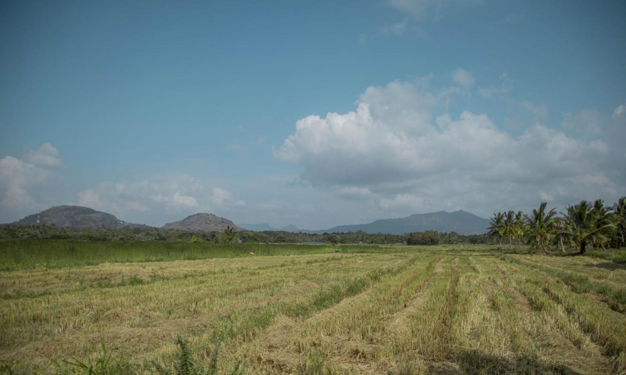Nilambara Lake View Dambulla Exterior photo
